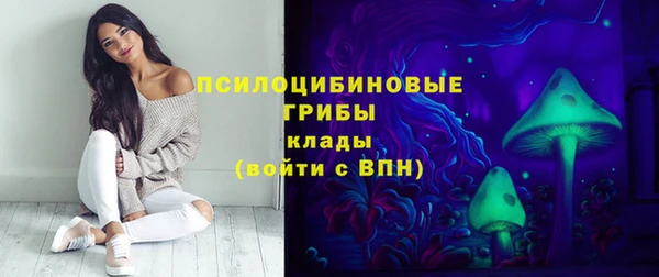 дживик Алексеевка